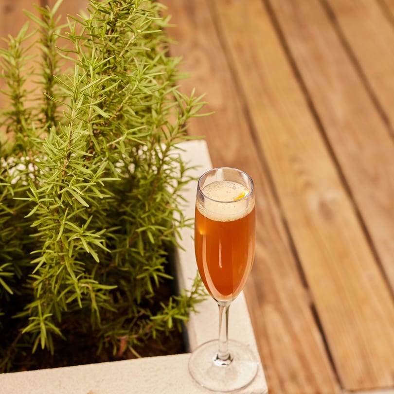 A tall glass of amber-colored drink with foam and a lemon slice, next to a rosemary plant.