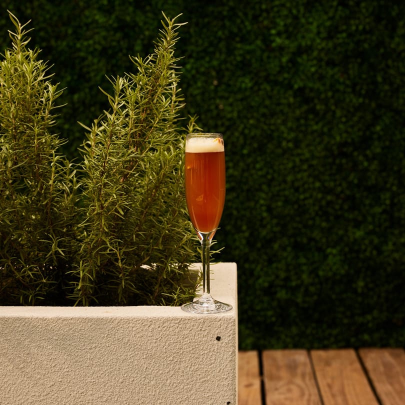 A tall glass of amber-colored drink with foam sits on a stone planter next to rosemary bushes.